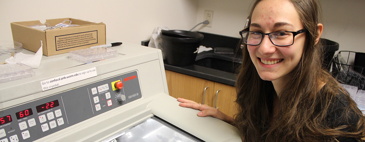 Honors scholar does research